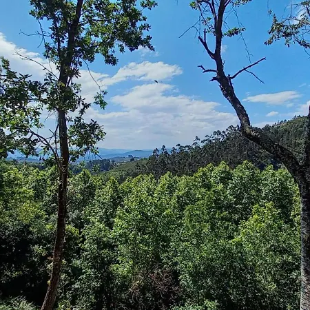 Lüks kamp alanı Bell-tenten Quinta Pomar Do Pontido *